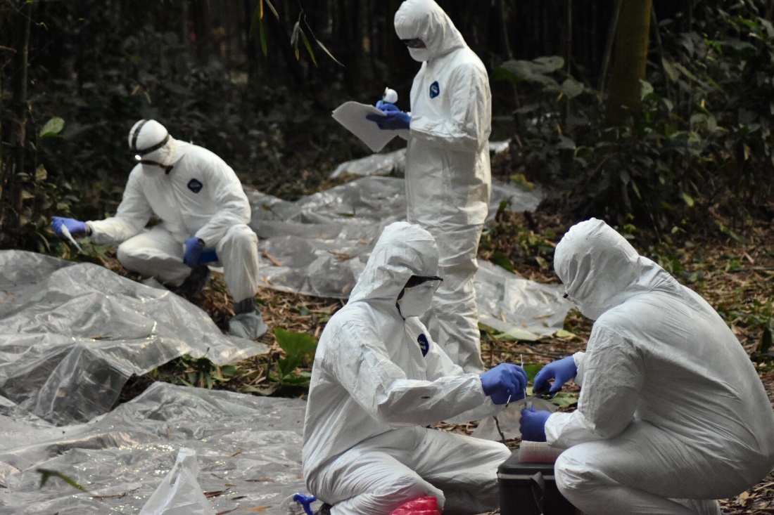 Outbreak investigation team collecting bat excreta samples during a suspected Nipah viral encephalitis investigation in Bangladesh